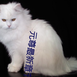 元尊最(最)新(新)章节