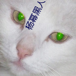 杨幂(mì)黑人艳情(qíng)小说