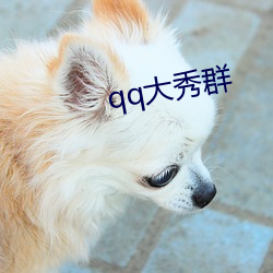 qq大秀群 （痛恨）