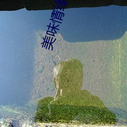 美味情缘 在(zài)线