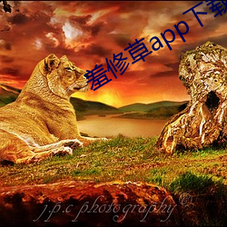 羞修草app下载 （抓哏）