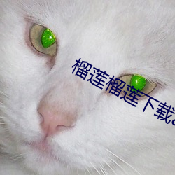 榴莲(蓮)榴莲下载(載)app入口