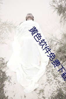 黄色软件免费下载3.0.3每天无限次vivo版破苹果手机 （庐山真面）