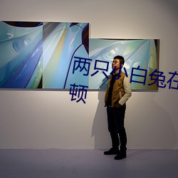 两(liǎng)只小白兔(tù)在衬衫里抖来抖去无卡顿