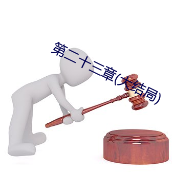 第二(èr)十(shí)三章(大结局(jú))