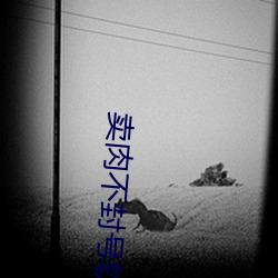 卖肉不封号软件