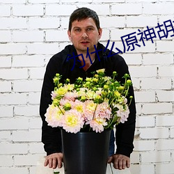 为什么原神胡桃没有胸 （蜂目豺声）