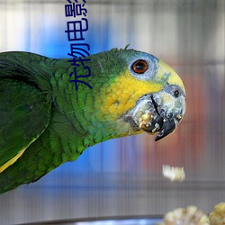尤物電影院