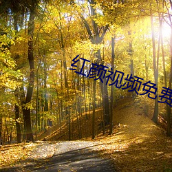 红颜(顔)视频(頻)免费下载(載)