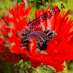 李宗瑞1314