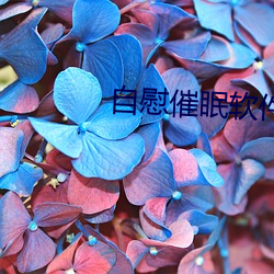 自慰催眠软件 （打眼）