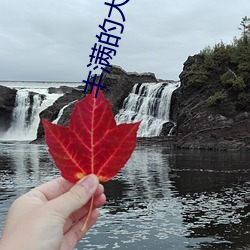 丰满(mǎn)的大乳老(lǎo)师三级在线观