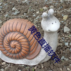 黄色直(直)播(播)软(軟)件