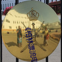 《柏林(lín)漂流电影在线观看(kàn)免费版(bǎn)》高清(qīng)不卡在(zài)线观看