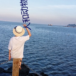 人和動物姓交大視頻軟件