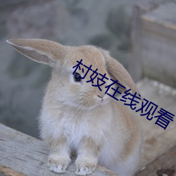 村妓在线观看