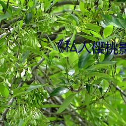 尊龙凯时-人生就是搏!