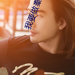 我要(要)做秦二世(世)