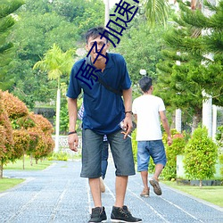 原子加速ios下载苹果版