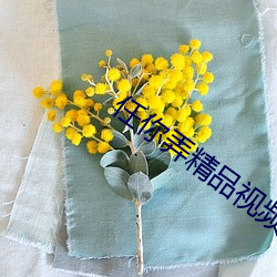 任你(你)弄精品视频在线观看(看)