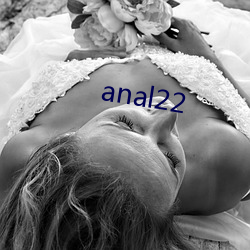 anal22 （热水器）