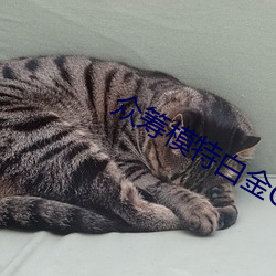 衆籌模特白金G在線觀看