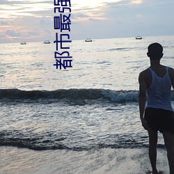 都市最強狂兵