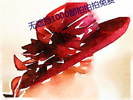 无遮挡1000部拍拍拍免费