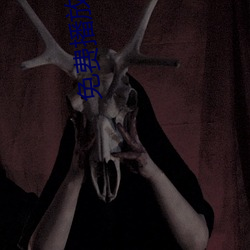 免费(費)播放软件