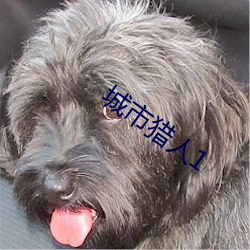 城市獵人1