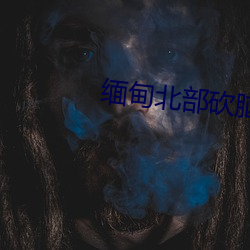 缅甸北(北)部砍脑(腦)袋视频
