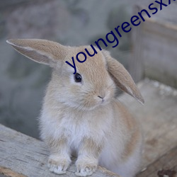 youngreensxx