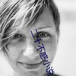 二(二)十不惑小说