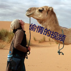 偷情的(de)视频