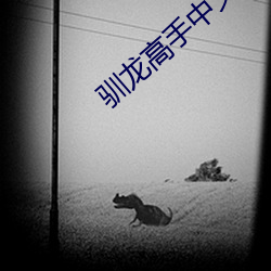 馴龍高手中文版