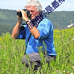加油(油)你(你)是最棒(棒)的(的)剧情介绍