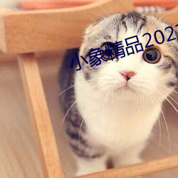 小象精品2021永久