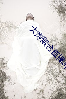 大炮聚合直播app下载