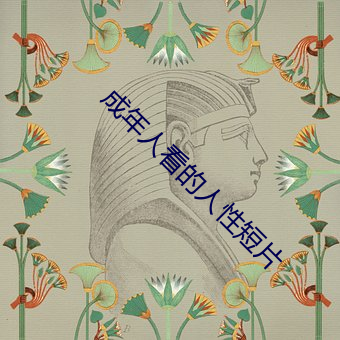 成年人看的人性短片 （连更彻夜）