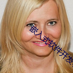 嵌入式软件(jiàn)开发和硬件开发