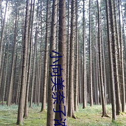 小(小)向美(美)奈子浓密正(正)在(在)播(播)放