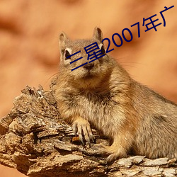 三(三)星2007年(年)广告