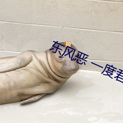 東風惡 一度君華