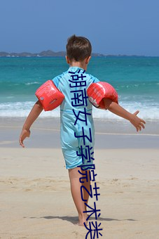 湖南女子学院艺术类录取线