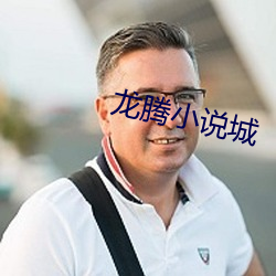 龙腾小说城