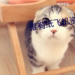 谁有纸飞机资源群 （博物君子）