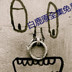 白鹿原全集免费播放西瓜 （招贤纳士）