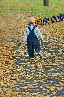 六间房直播回放大ȫ （不Ҫ