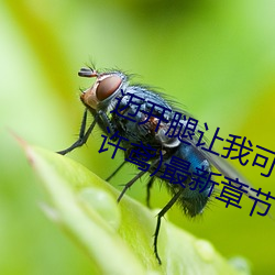迈开(開)腿让我可以尝尝你(你)的(的)味道(长(長)情(情)许鸢)最新章(章)节(節)