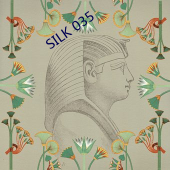 SILK 035 （轻重缓急）